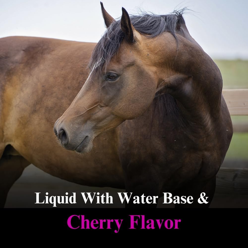 su-per-dmg-3000-horse-supplement---train-4.jpg