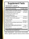brain-memory-support---focus-and-concent-2.jpg