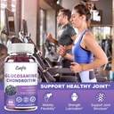 catfit-glucosamine-chondroitin-gummiesex-6.jpg