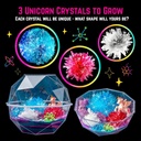 original-stationery-crystal-growing-kit--3.jpg