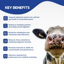 ruminants-pre-and-probiotic-paste-80g--p-2.jpg