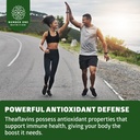 n1-nutrition-premium-theaflavins-black-t-4.jpg