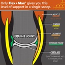 absorbine-flexmax-horse-joint-supplement-2.jpg