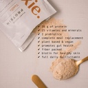 rookie-wellness-plant-based-probiotic-pr-4.jpg