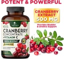 cranberry-supplement-pills-25000mg---hig-5.jpg