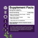 bundle-of-enhance-brain-memory-boost-foc-3.jpg