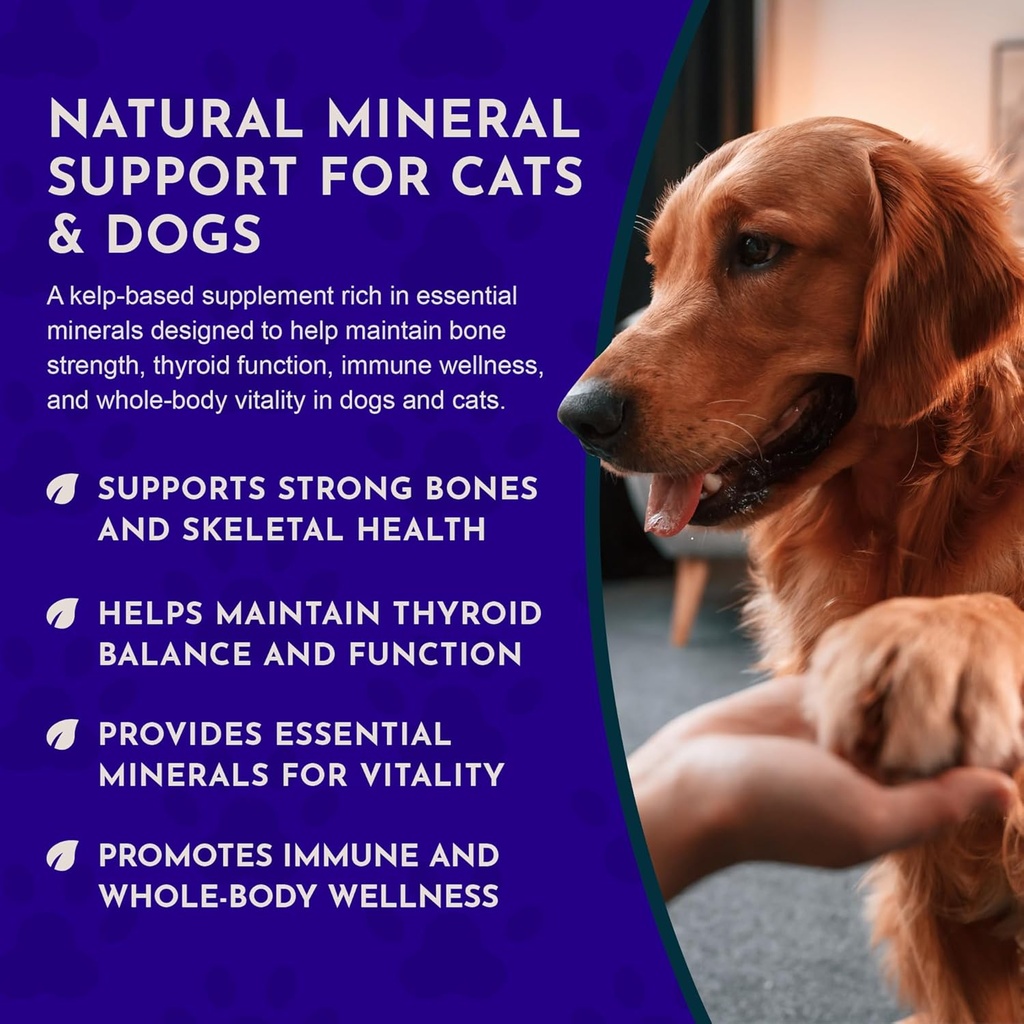 animal-essentials-ocean-kelp-for-dogs-ca-5.jpg