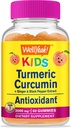 wellyeah-iron-vitamin-c-kids-turmeric-cu-3.jpg