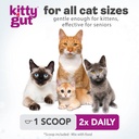 kittygut-3-in-1-organic-cat-probiotics-p-5.jpg