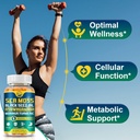 natures-live-organic-sea-moss-softgels-w-3.jpg