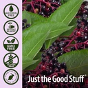natures-answer-sambucus-immune-travel-sh-5.jpg