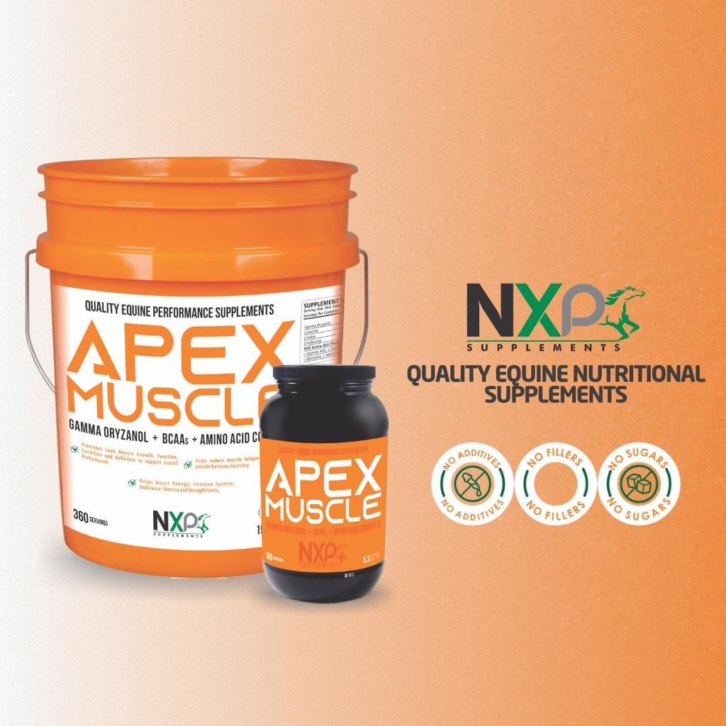 apex-muscle-body-strength-builder-for-ho-5.jpg