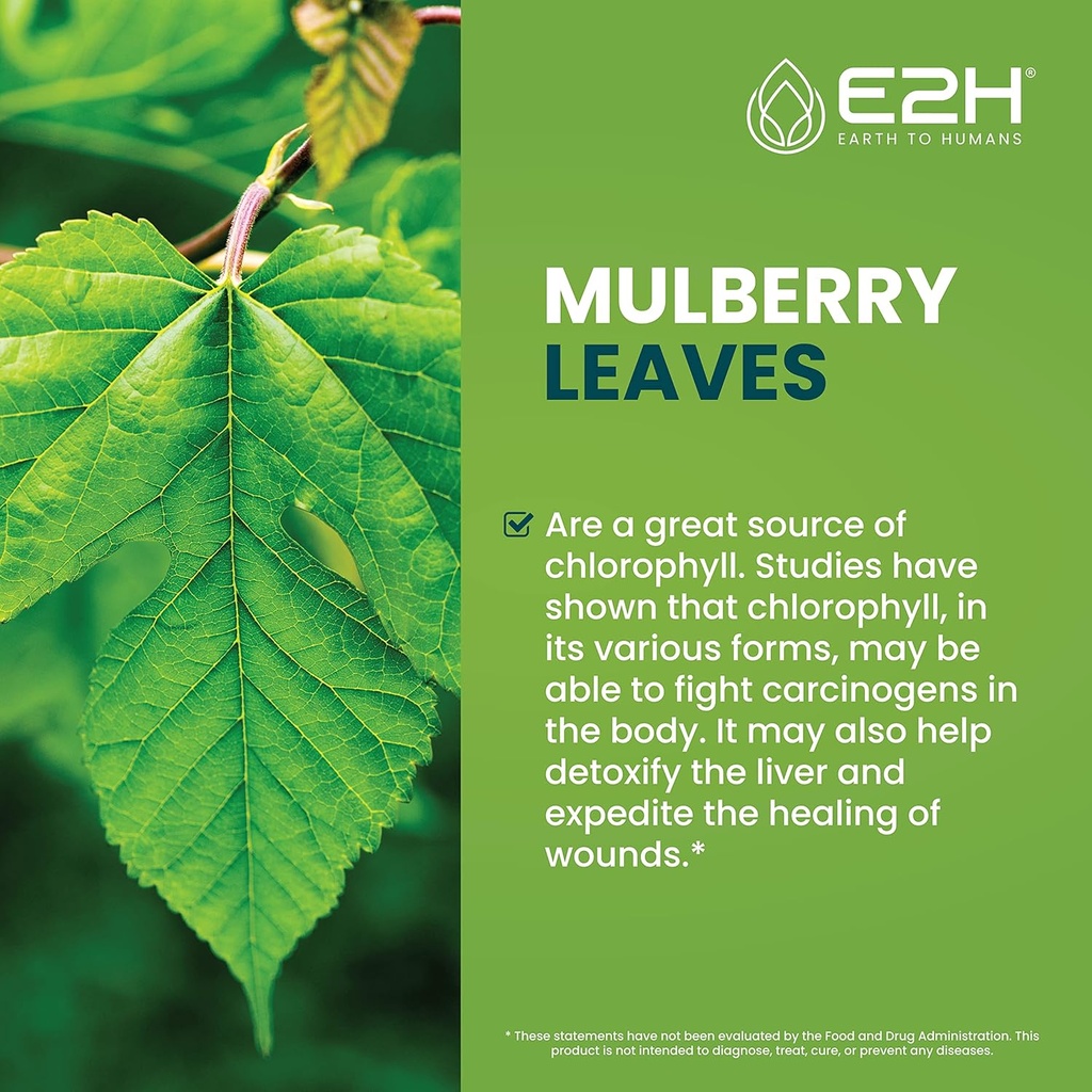e2h-liquid-chlorophyll-and-lions-mane-mu-4.jpg