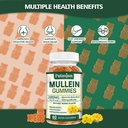 mullein-gummies-for-lungs-2000mg-mullein-3.jpg