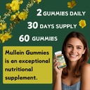 mullein-gummies-for-lungs-2000mg-mullein-6.jpg