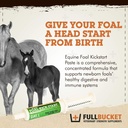 fullbucket-equine-foal-kickstart-paste-i-2.jpg