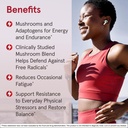 jarrow-formulas-energy-optimizer-with-co-3.jpg