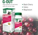 bell-bundle---stem-cell-supplements-g-ou-4.jpg