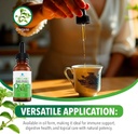 dr-robaina-organic-oil-of-oregano-drops--5.jpg