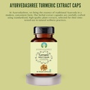 turmeric-extract-500mg---60-vegetarian-c-3.jpg