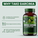 inca-master-tea---1600mg-garcinia-cambog-4.jpg
