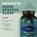 ancient-nutrition-ashwagandha-for-sleep--3.jpg