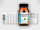 dr-wakdes-gotu-kola-capsules-mandukparni-2.jpg