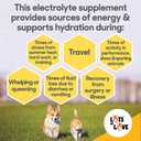 hydrade-powder---electrolytes-for-dog-ca-5.jpg