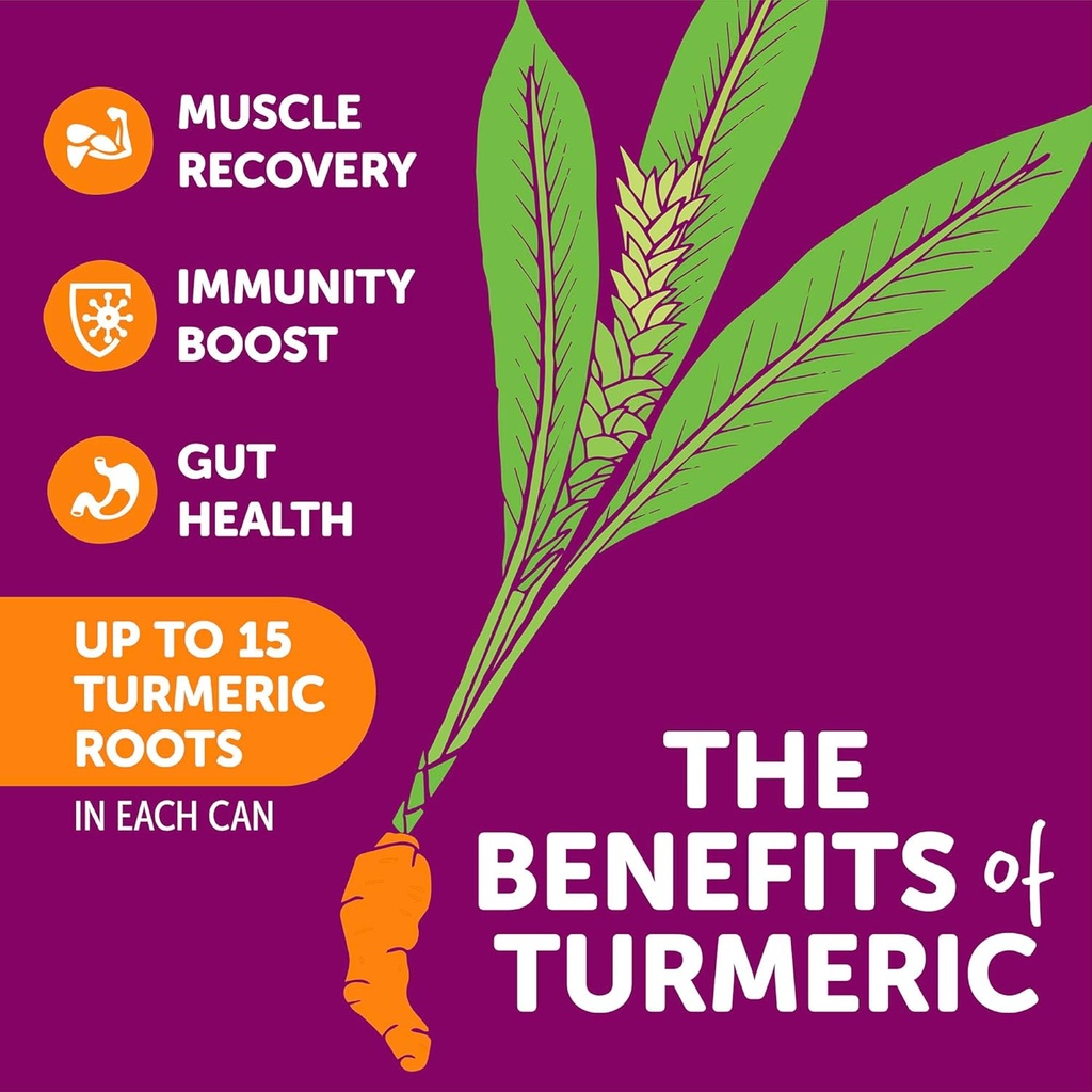 zyn-turmeric-wellness-drink-6-pack-pomeg-3.jpg