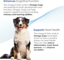 omega-caps-for-medium-dog-breeds---omega-5.jpg