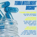 performix---sst-original---pre-workout---5.jpg