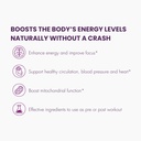 nitric-oxide-liquid-antioxidant-suppleme-4.jpg