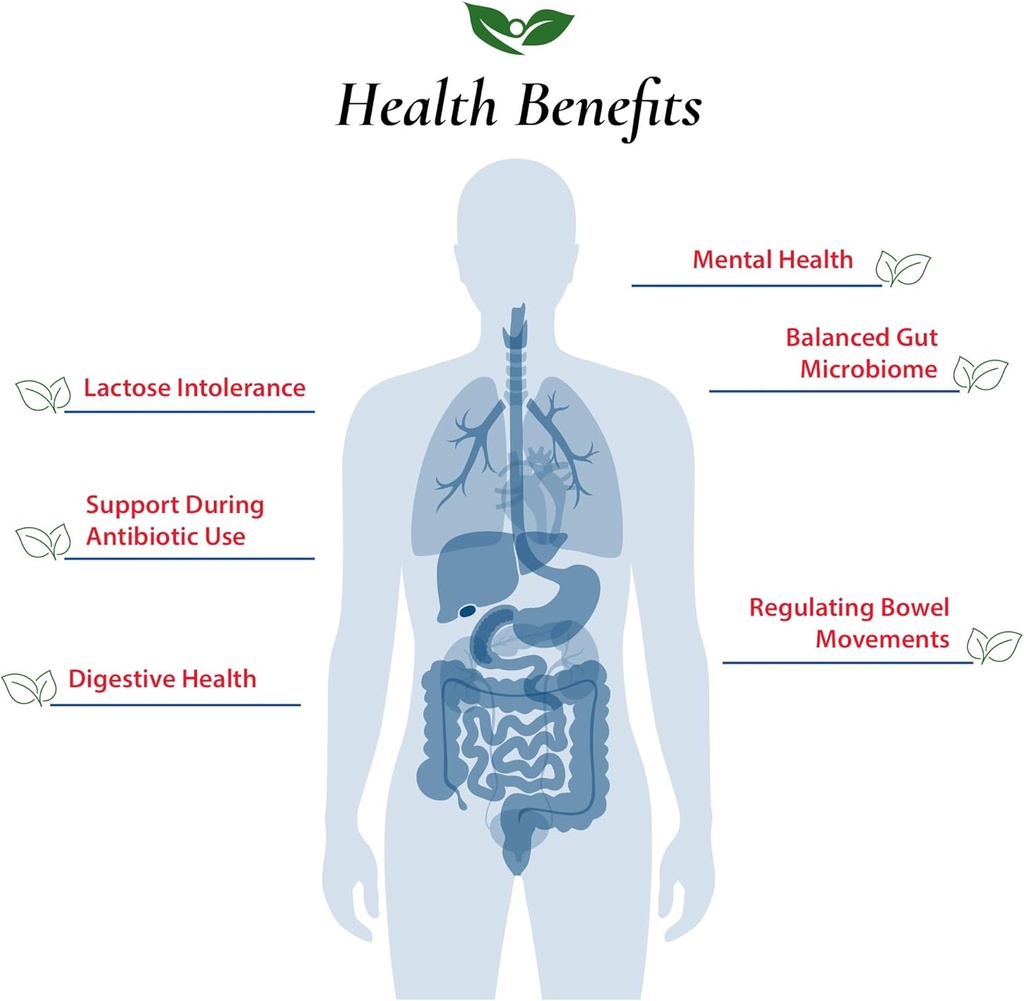 foods-for-gut-lactobacillus-acidophilus--3.jpg