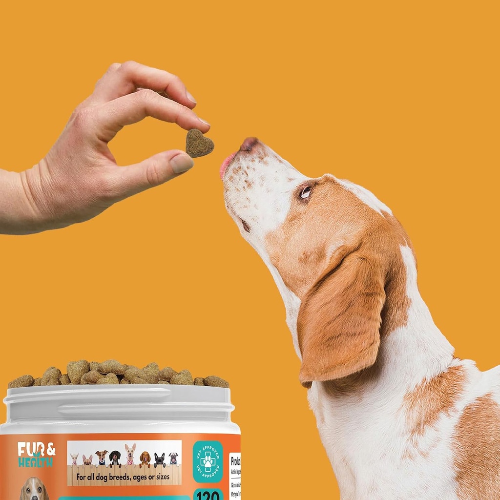 probiotics-for-dogs-digestive-health-sup-6.jpg