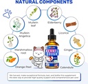 kennel-cough-treatment-for-dogs-cats-dog-3.jpg