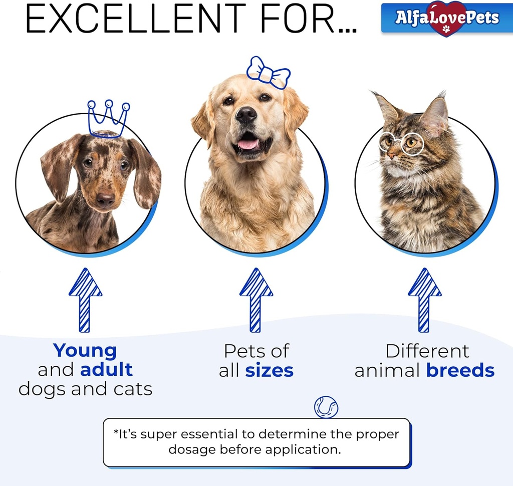 kennel-cough-treatment-for-dogs-cats-dog-5.jpg
