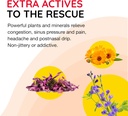 reboost-breathe-easy-decongestion-nasal--2.jpg