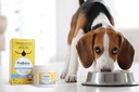probiora-for-dogs-dog-probiotic-suppleme-3.jpg
