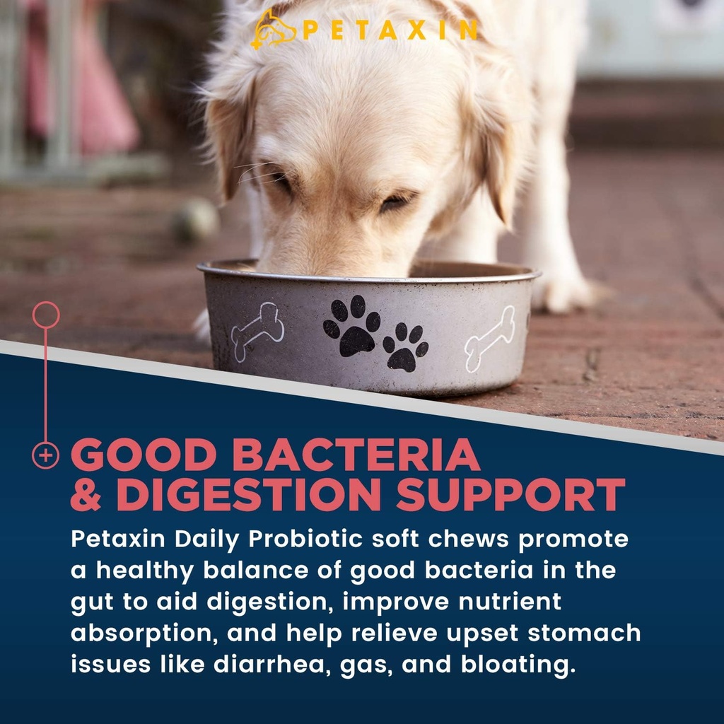 probiotics-for-dogs---6-strains-with-pre-2.jpg