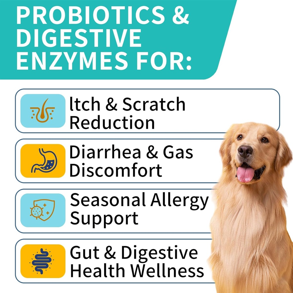 probiotics-for-dogs-improve-itchy-skin-i-2.jpg