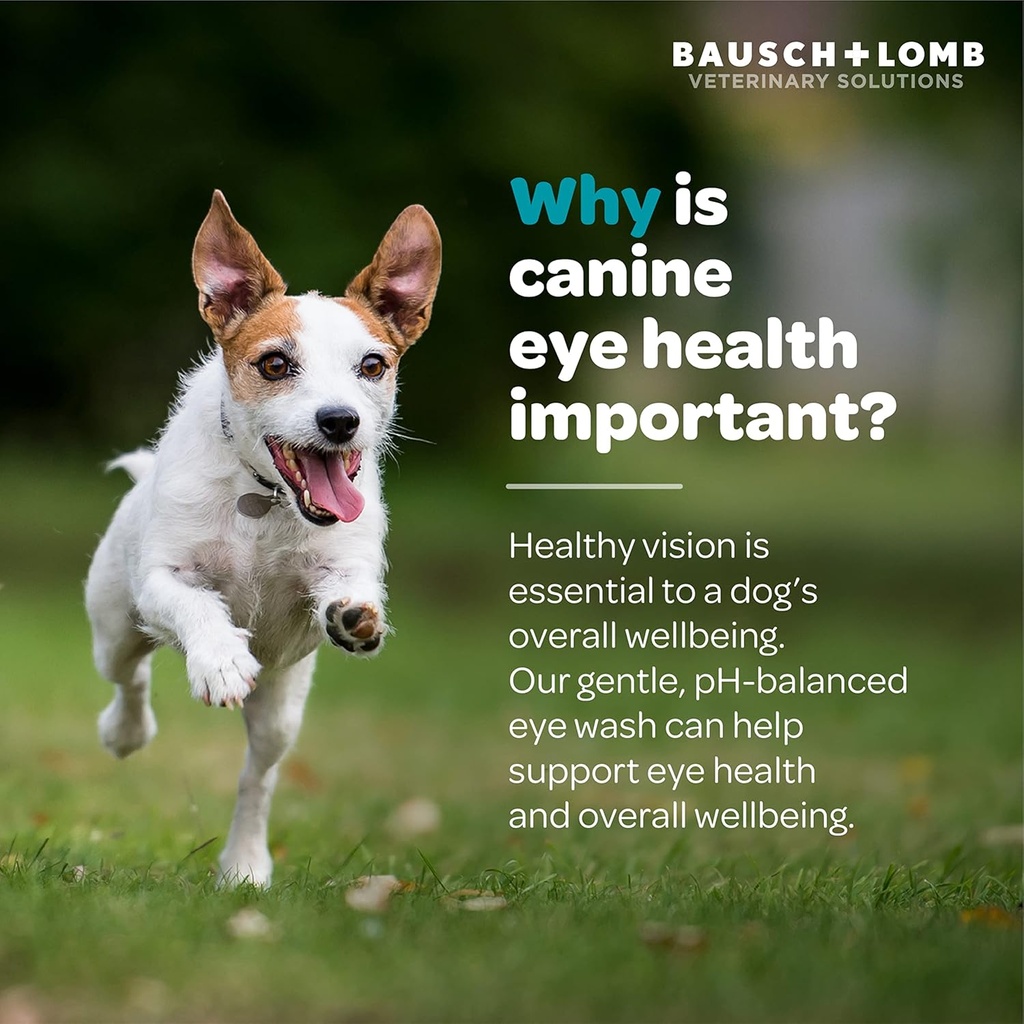 project-watson-eye-wash-for-dogs-help-re-3.jpg