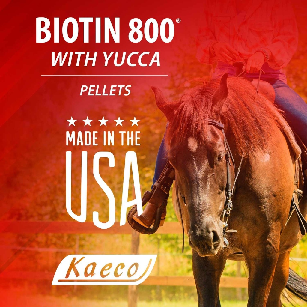 rj-matthews-biotin-800-pellets-6-lb-4.jpg