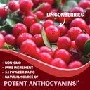 all-in-one-pac-bundle---cranberry-lingon-6.jpg