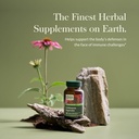 gaia-herbs-echinacea-supreme---immune-su-3.jpg