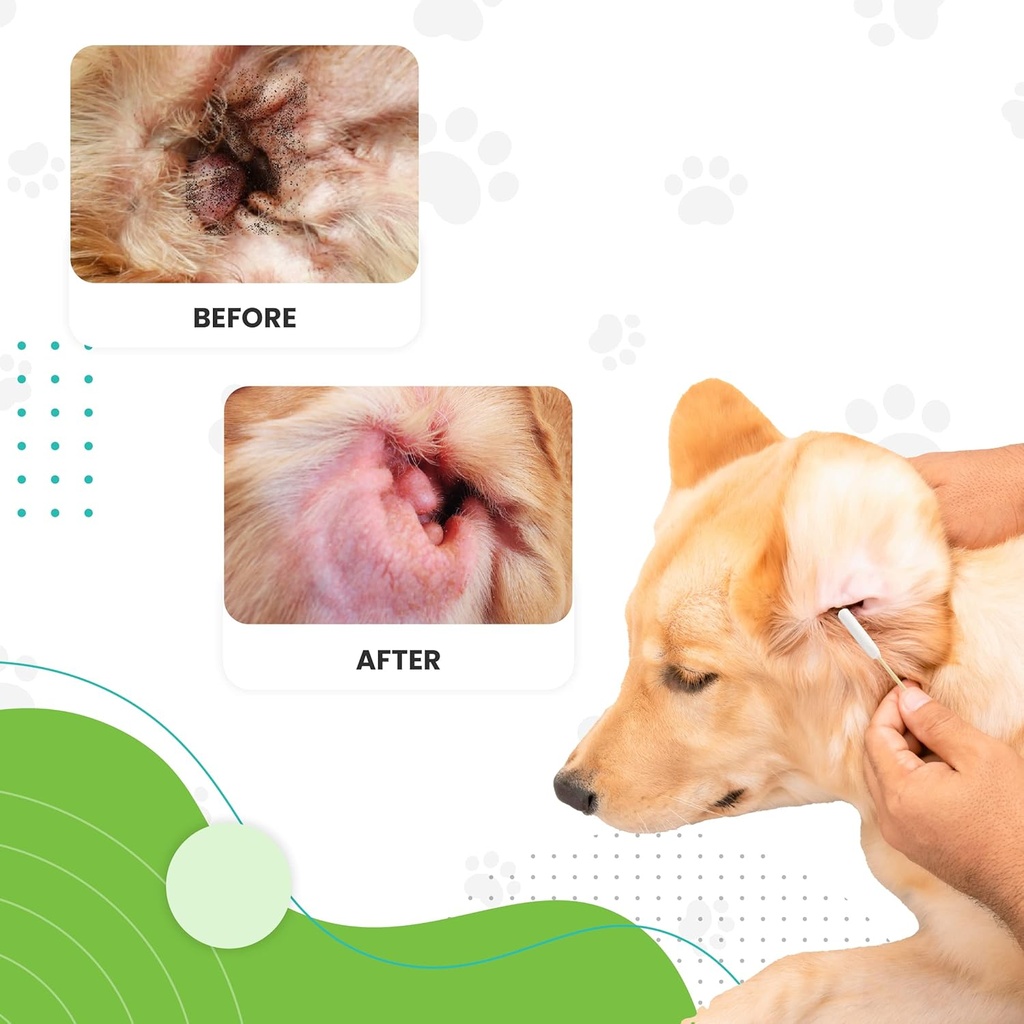 we-love-doodles-long-cotton-dog-ear-swab-4.jpg