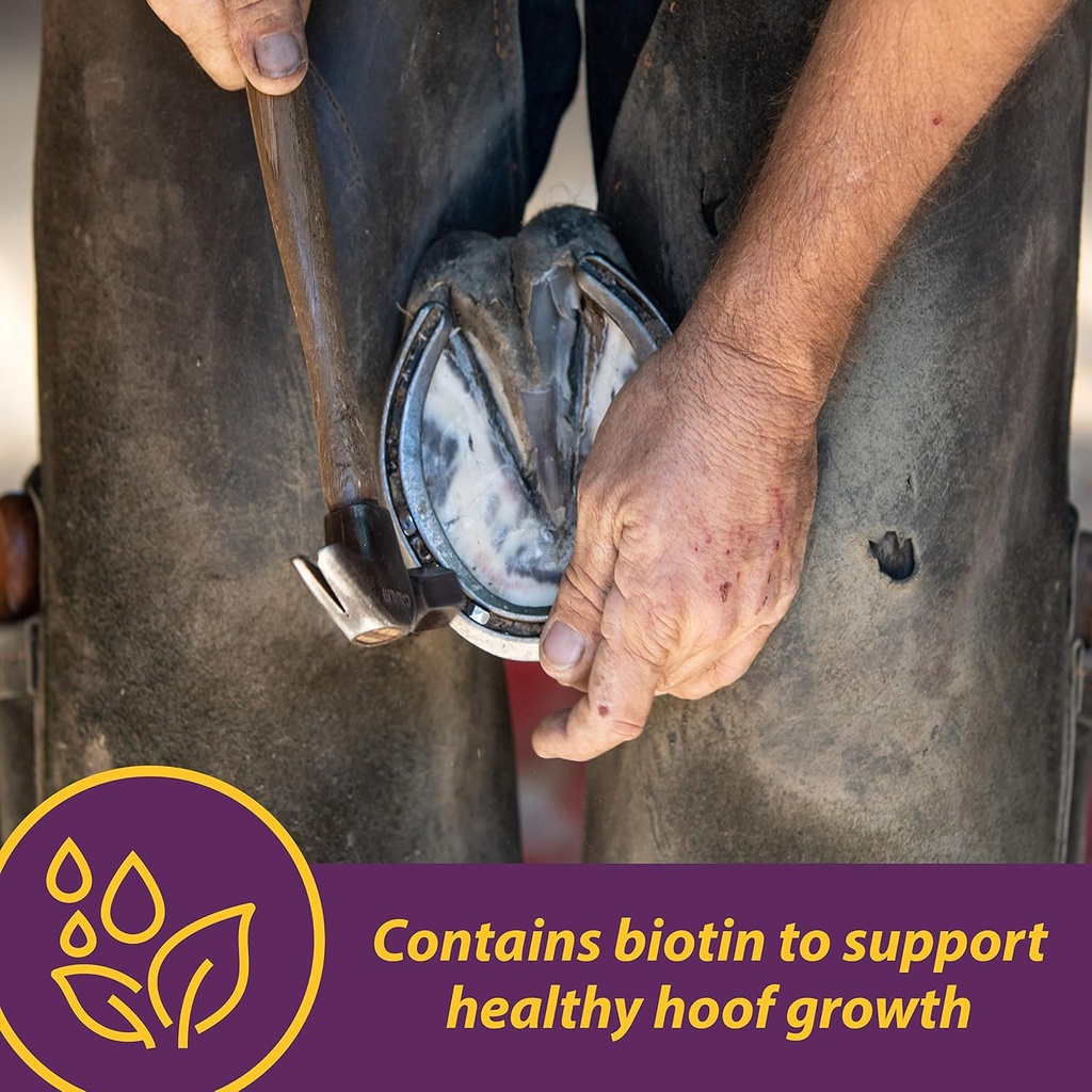 horse-health-vita-biotin-crumbles-horse--3.jpg