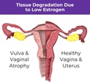 menopause-rebalancing-bundle-silky-peach-3.jpg