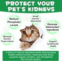 alivo-liver-support-for-cats-liver-and-k-3.jpg