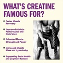 creatine-monohydrate-gummies-for-men-and-4.jpg