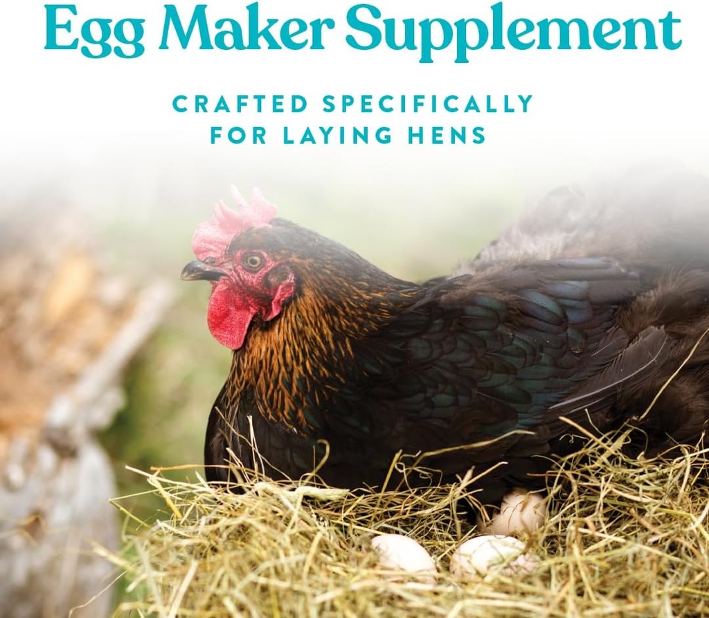 manna-pro-omega-egg-maker-chicken-feed-s-4.jpg